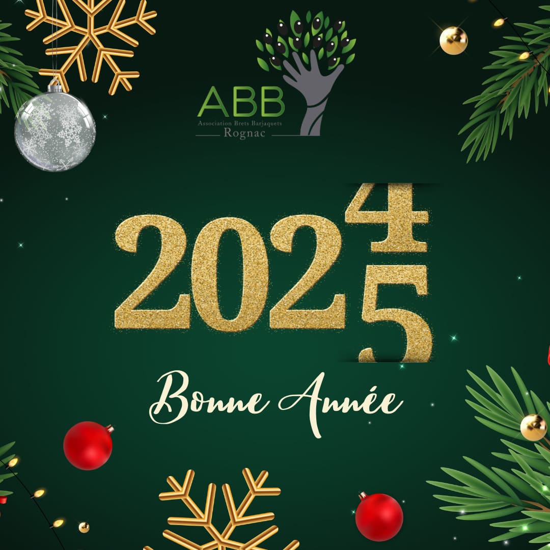 Lire la suite à propos de l’article Bonne année 2025 !